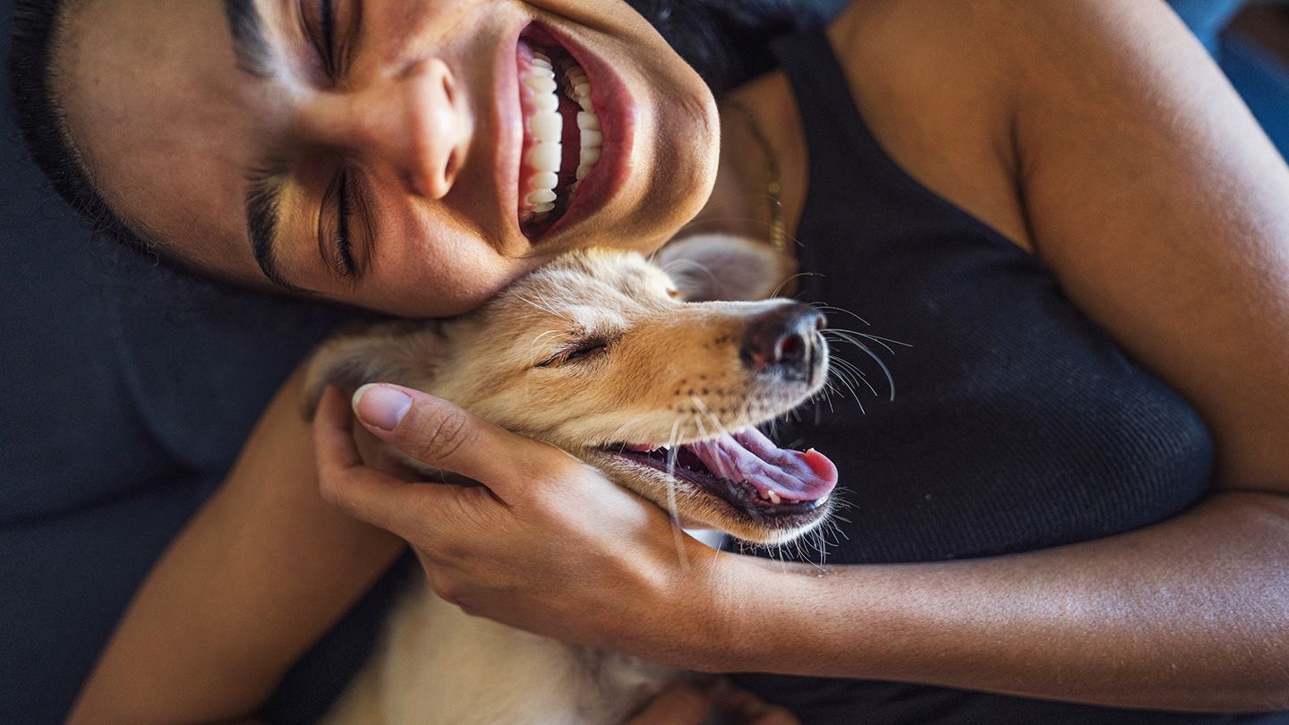 Pet Therapy: How Animals Are Enhancing Our Lives and Mental Health